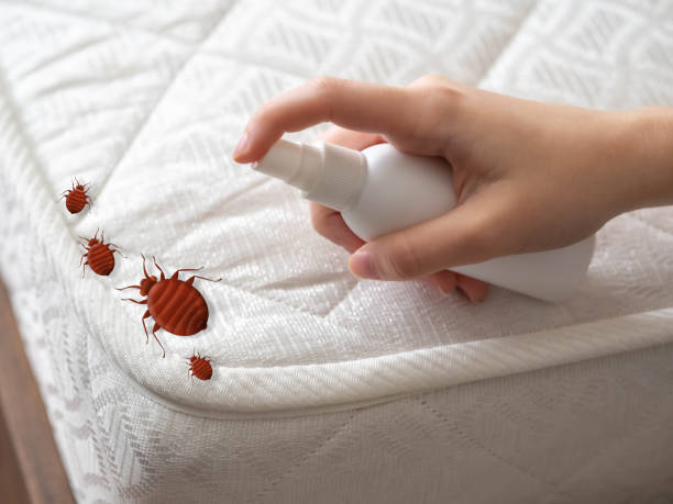 Best Termite Control Services  in Bakerstown, PA